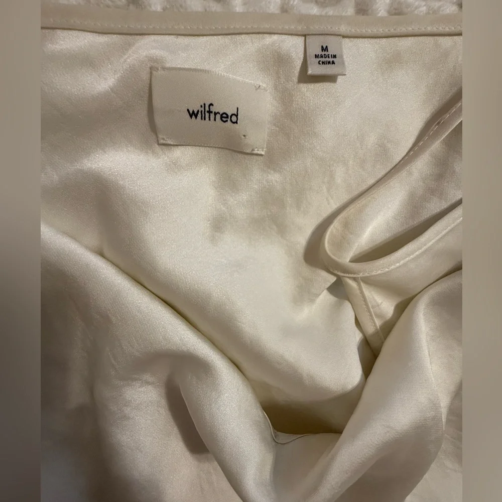 Aritzia Slip Dress - Picture 7 of 8